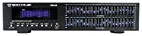 Rockville REQ42-B Black 19' Rack Mount 2 x 21 Band Equalizer