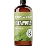 Lab Bulks Eucalyptus Essential Oil 16 oz Bottle, for Diffusers, Home Care, Candles, Aromatherapy, Eucalyptus Oil Spray – 1 Pack