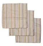 GEOMETRY Kitchen Dish Cloths - Quick Dry Dishcloths for Kitchen - Premium Dish Rags with Geoweave - 3-Pack Set (Stripe Season)
