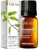 Gya Labs Eucalyptus Essential Oil - 100% Natural Eucalyptus Oil Essential Oils for Diffuser, Skin, Humidifier & Hair (0.34 fl oz)