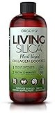 Living Silica Plant Based Collagen Booster | Vegan | Supports Healthy Collagen and Elastin Production for Joint & Bone Support, Glowing Skin, Strong Hair & Nails 500 ml | 16.9 Fl Oz
