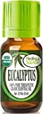 Healing Solutions Organic 10ml Oils - Eucalyptus Essential Oil - 0.33 Fluid Ounces