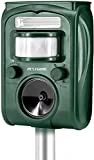PESTGURU Solar Animal Repeller, 2022 Ultrasonic Mole Repellent, Rat, Squirrel, Deer, Raccoon, Skunk, Rabbit, Mole, Dog, Cat, Waterproof with Motion Detector, USB Rechargeable, Flashing Light (Green)