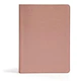 CSB She Reads Truth Bible, Rose Gold LeatherTouch, Black Letter, Full-Color Design, Wide Margins, Journaling Space, Devotionals, Reading Plans, Single-Column, Easy-to-Read Bible Serif Type