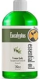 16oz - Bulk Size Eucalyptus Essential Oil (16 Ounce Total) - Therapeutic Grade Essential Oil - 16 Fl Oz Bottle