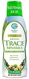 Tropical Oasis - Premium Ionized Plant Based Trace Minerals Liquid Formula- 74 essential minerals in liquid form for up to 96% Absorption - 16 oz, 32 servings