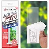Window Fly Traps Indoor Clear 15pk Strips Indoor. The Only Double Strip Trap for Home. Paper Catchers Inside Home Flypaper House Killer Bug Catcher