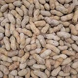 Barcelona Nut Inshell Peanuts Salted & Roasted - 10 Pounds - Deliciously Old Fashioned - USA Grown - Gluten Free - In Shell For Humans