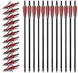 VKEDA 20 Inch Carbon Crossbow Bolts 12 Pack and 12 Pack Hunting Broadheads kit, Carbon Crossbow Arrows for Hunting and Outdoor Practice (Red)