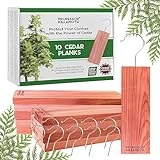 Cedar Blocks for Clothes Storage – Stop Clothes Damage – 10 Fresh Cedar Planks and Hangers – Moth Repellent for House, Closets and Drawers