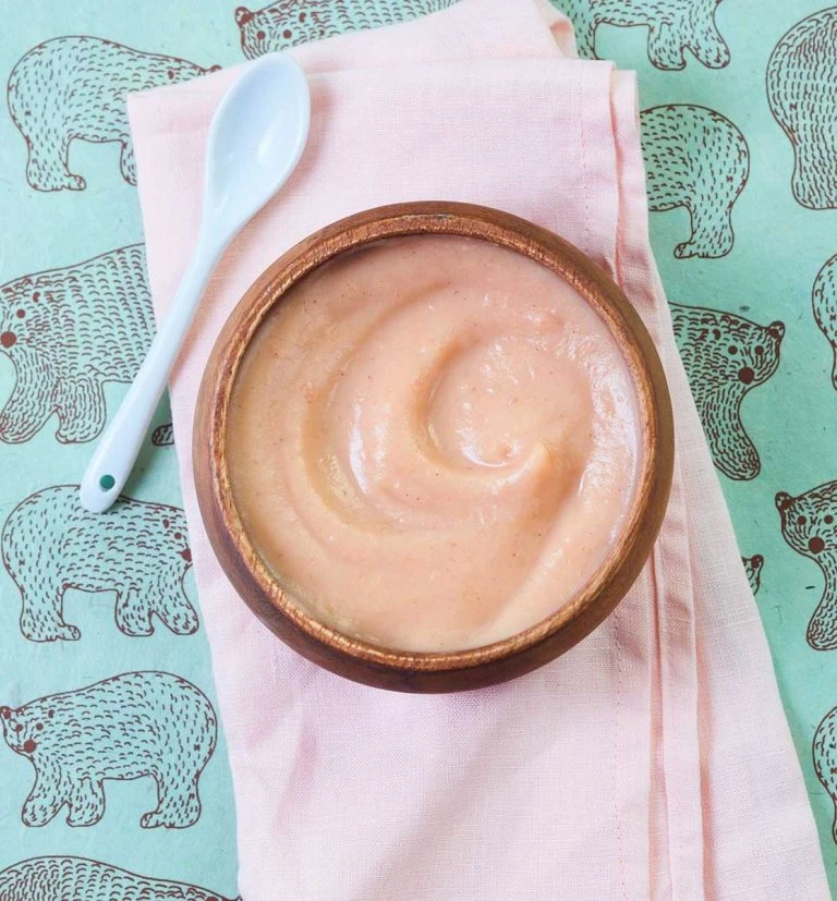 Best Baby Food Cookbooks In 2023: Buying Guide