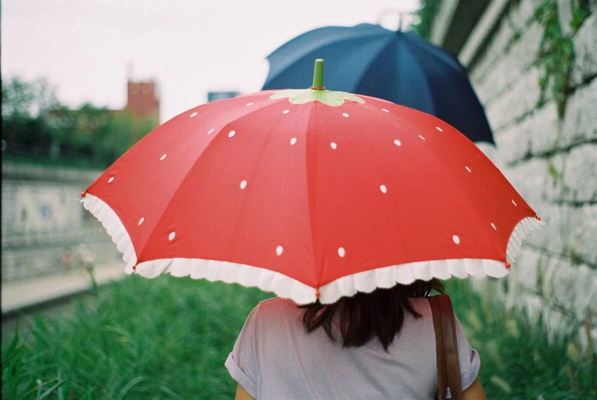 Best Uv Umbrellas In 2023: Buying Guide